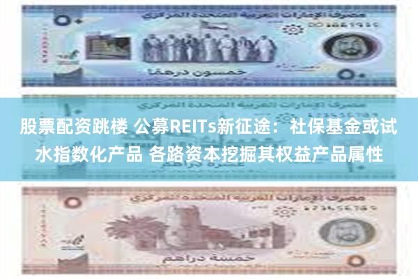 股票配资跳楼 公募REITs新征途:社保基金或试水指数化产品 各路资本挖掘其权益产品属性