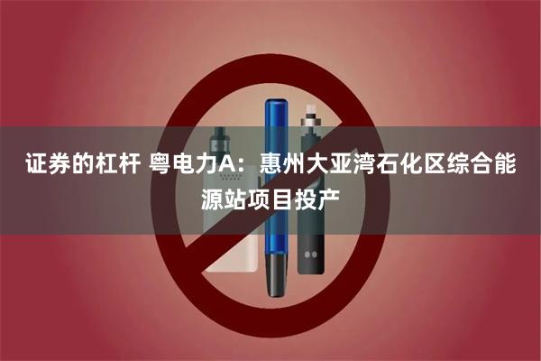 证券的杠杆 粤电力A:惠州大亚湾石化区综合能源站项目投产