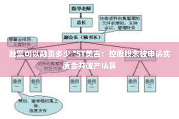 股票可以融资多少 *ST美吉:控股股东被申请实质合并破产清算