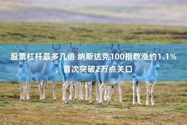 股票杠杆最多几倍 纳斯达克100指数涨约1.1%，首次突破2万点关口