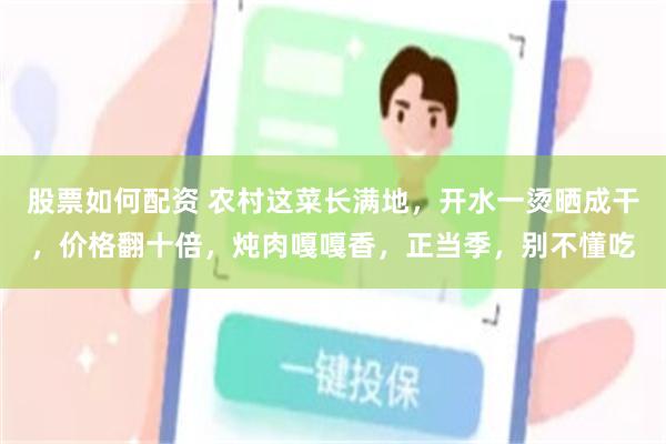 股票如何配资 农村这菜长满地,开水一烫晒成干,价格翻十倍,炖肉嘎嘎香,正当季,别不懂吃