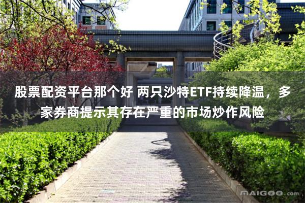 股票配资平台那个好 两只沙特ETF持续降温,多家券商提示其存在严重的市场炒作风险