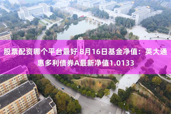 股票配资哪个平台最好 8月16日基金净值:英大通惠多利债券A最新净值1.0133