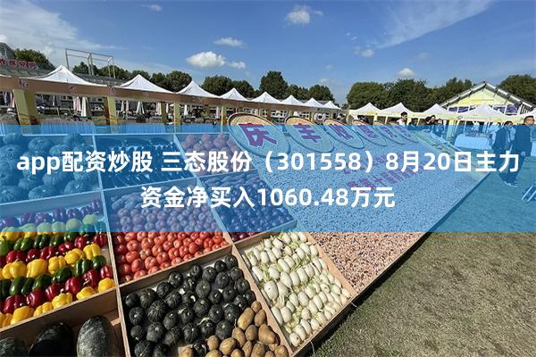 app配资炒股 三态股份(301558)8月20日主力资金净买入1060.48万元