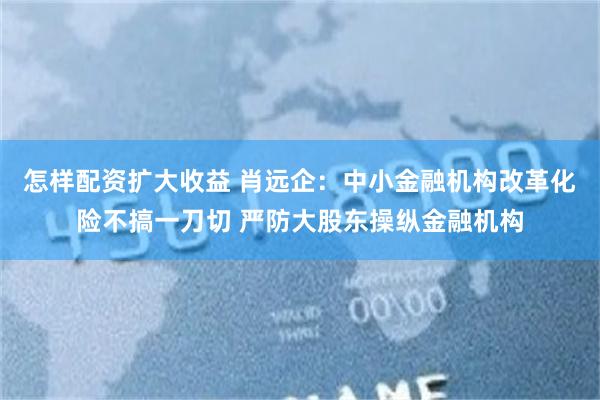 怎样配资扩大收益 肖远企:中小金融机构改革化险不搞一刀切 严防大股东操纵金融机构