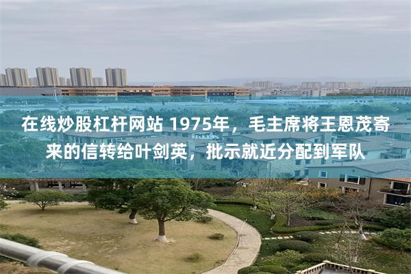在线炒股杠杆网站 1975年,毛主席将王恩茂寄来的信转给叶剑英,批示就近分配到军队