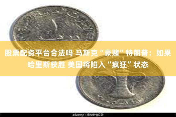股票配资平台合法吗 马斯克“豪赌”特朗普:如果哈里斯获胜 美国将陷入“疯狂”状态