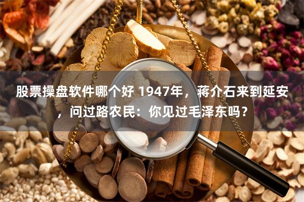 股票操盘软件哪个好 1947年,蒋介石来到延安,问过路农民:你见过毛泽东吗?