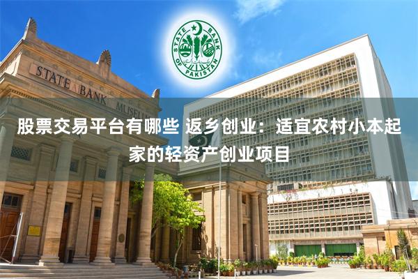 股票交易平台有哪些 返乡创业:适宜农村小本起家的轻资产创业项目
