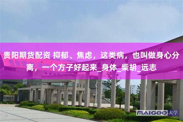 贵阳期货配资 抑郁、焦虑,这类病,也叫做身心分离,一个方子好起来_身体_柴胡_远志