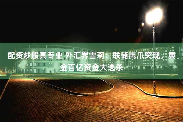 配资炒股真专业 外汇界雪莉：联储鹰爪突现，黄金百亿资金大逃杀