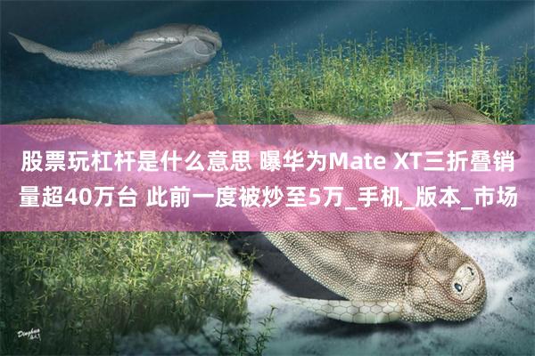股票玩杠杆是什么意思 曝华为Mate XT三折叠销量超40万台 此前一度被炒至5万_手机_版本_市场