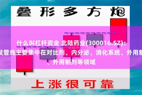 什么叫杠杆资金 北陆药业(300016.SZ):目前的研发管线主要集中在对比剂、内分泌、消化系统、外用制剂等领域
