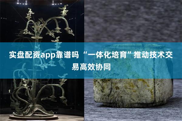 实盘配资app靠谱吗 “一体化培育”推动技术交易高效协同