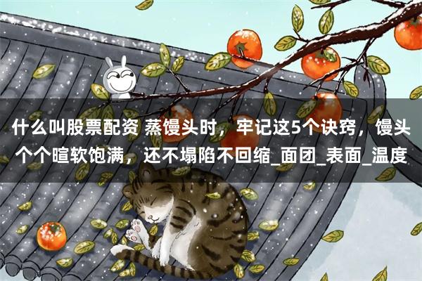 什么叫股票配资 蒸馒头时,牢记这5个诀窍,馒头个个暄软饱满,还不塌陷不回缩_面团_表面_温度