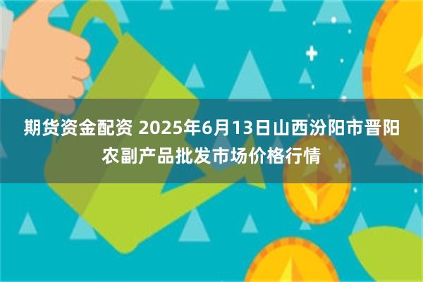 期货资金配资 2025年6月13日山西汾阳市晋阳农副产品批发市场价格行情