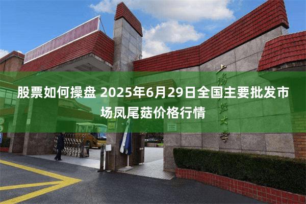 股票如何操盘 2025年6月29日全国主要批发市场凤尾菇价格行情