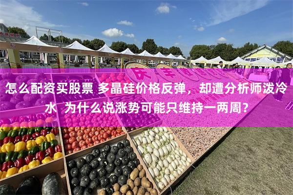 怎么配资买股票 多晶硅价格反弹,却遭分析师泼冷水 为什么说涨势可能只维持一两周?
