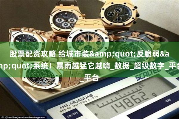 股票配资攻略 给城市装"反脆弱"系统!暴雨越猛它越嗨_数据_超级数字_平台