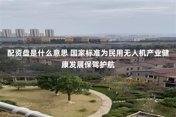 配资盘是什么意思 国家标准为民用无人机产业健康发展保驾护航